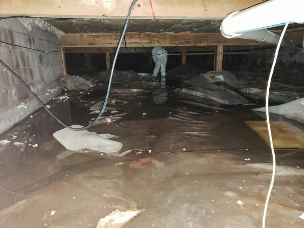 Residential Water Damage Restoration